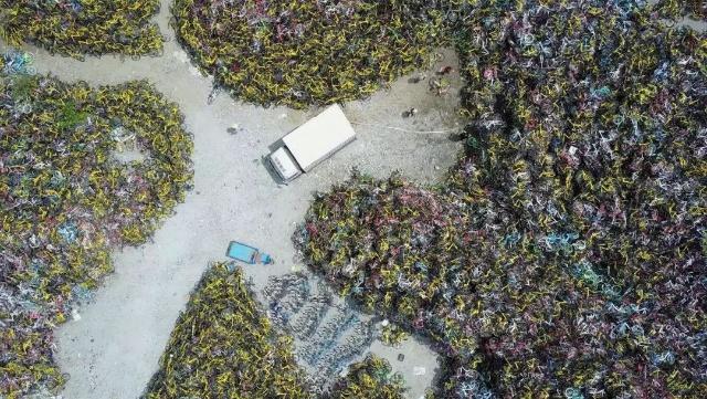 15461416107331.jpg u=1960810465,57528262&fm=173&app=49&f=JPEG.jpg